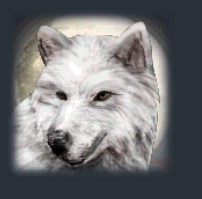 Symbol weißer wolf schamanen traum schlitz