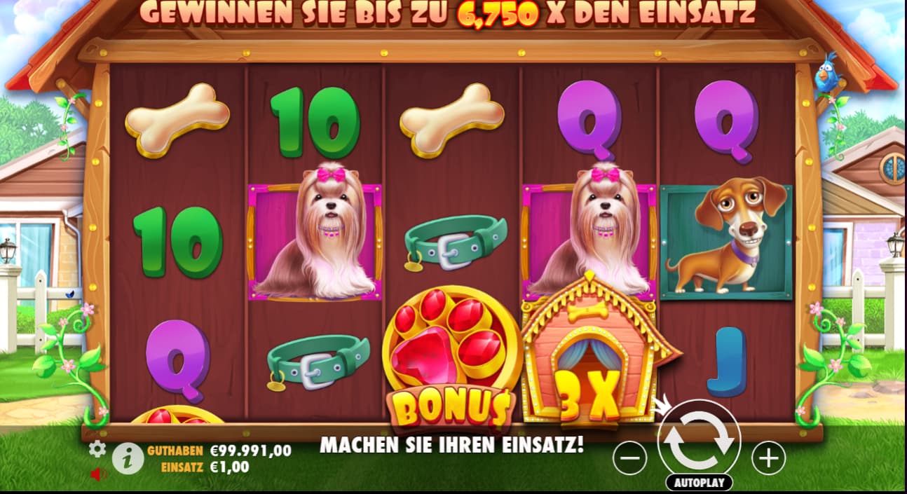 dog house slot