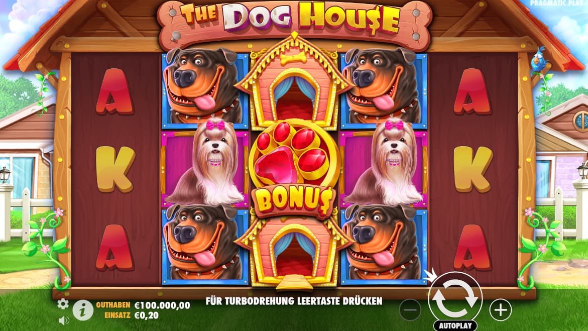 dog house win bonus