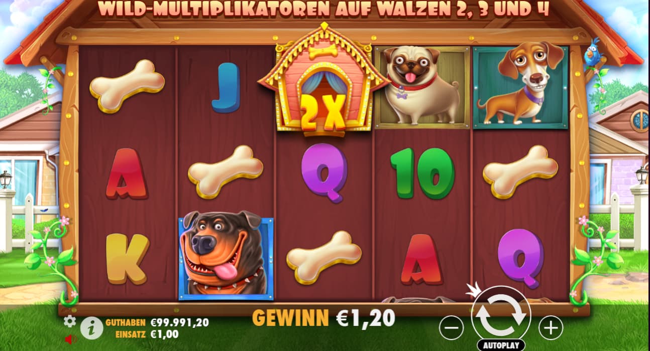dog house win