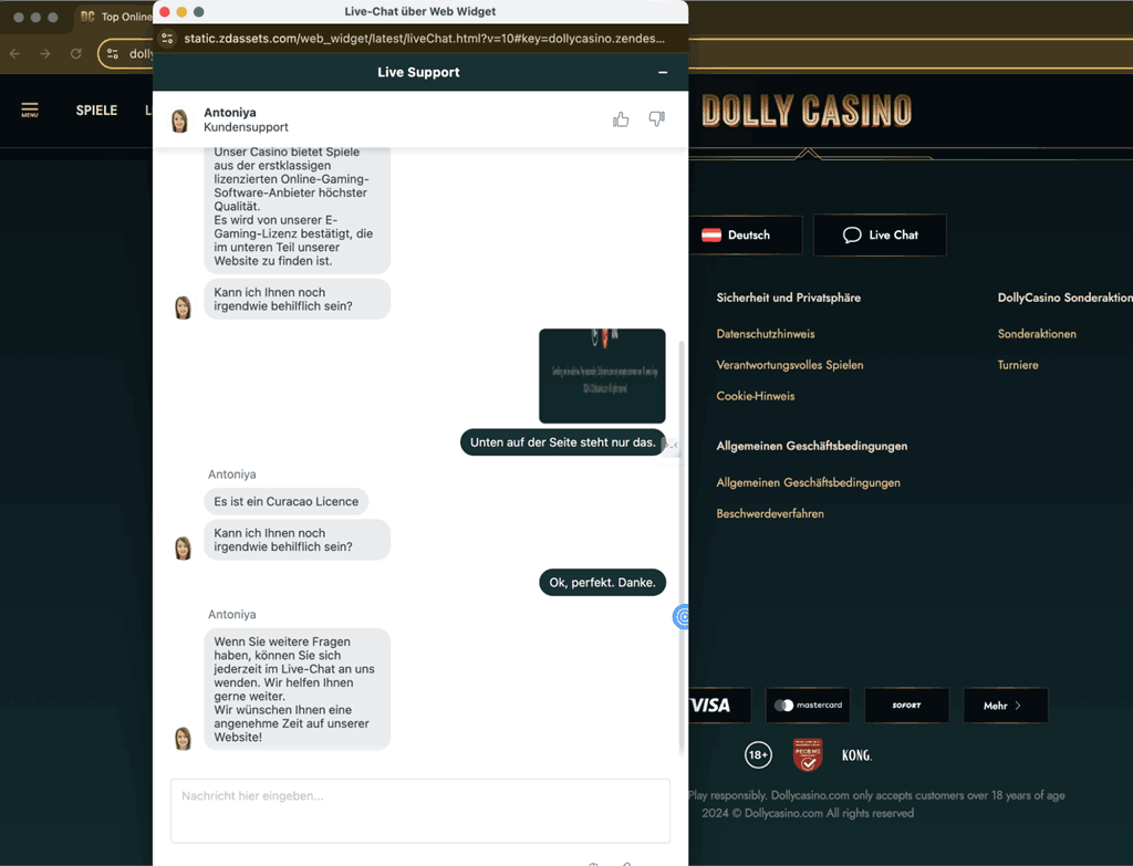 dolly suport chat