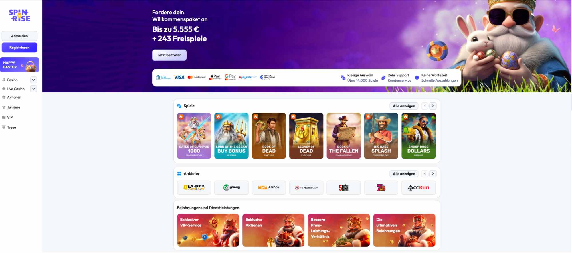 spinrise main page