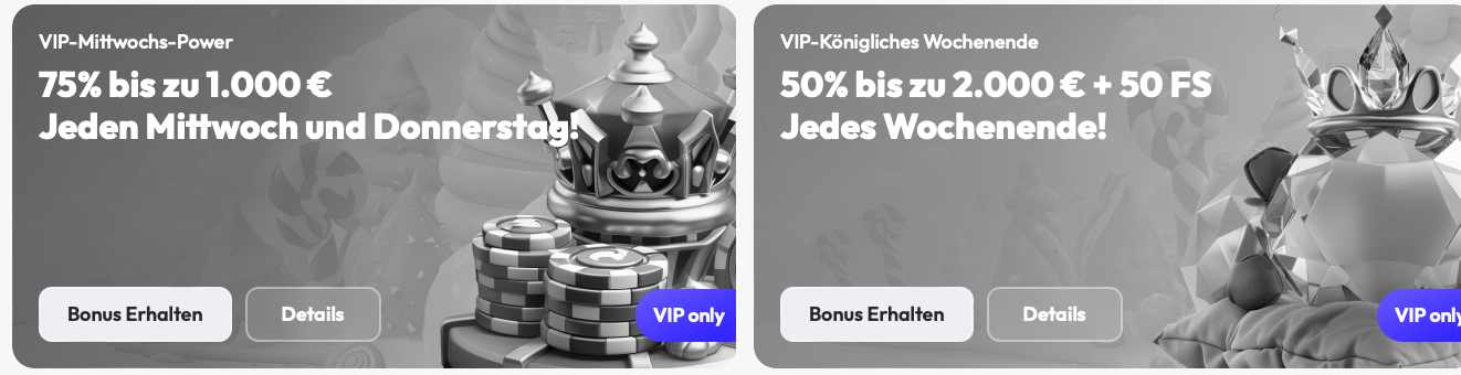 spinrise vip